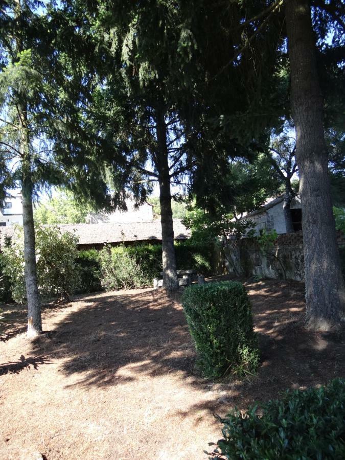 Museu Casa Aleixo ξενώνας Sernancelhe Εξωτερικό φωτογραφία