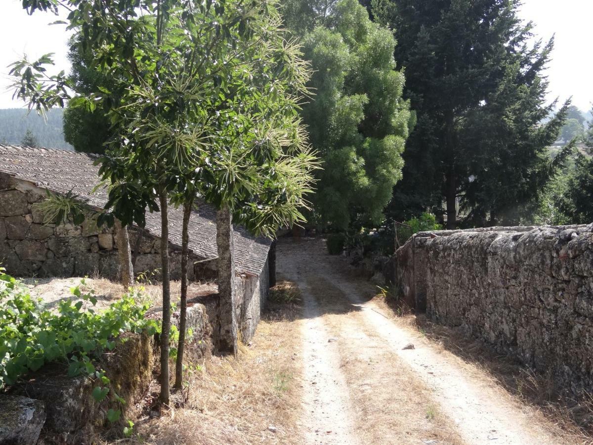 Museu Casa Aleixo ξενώνας Sernancelhe Εξωτερικό φωτογραφία
