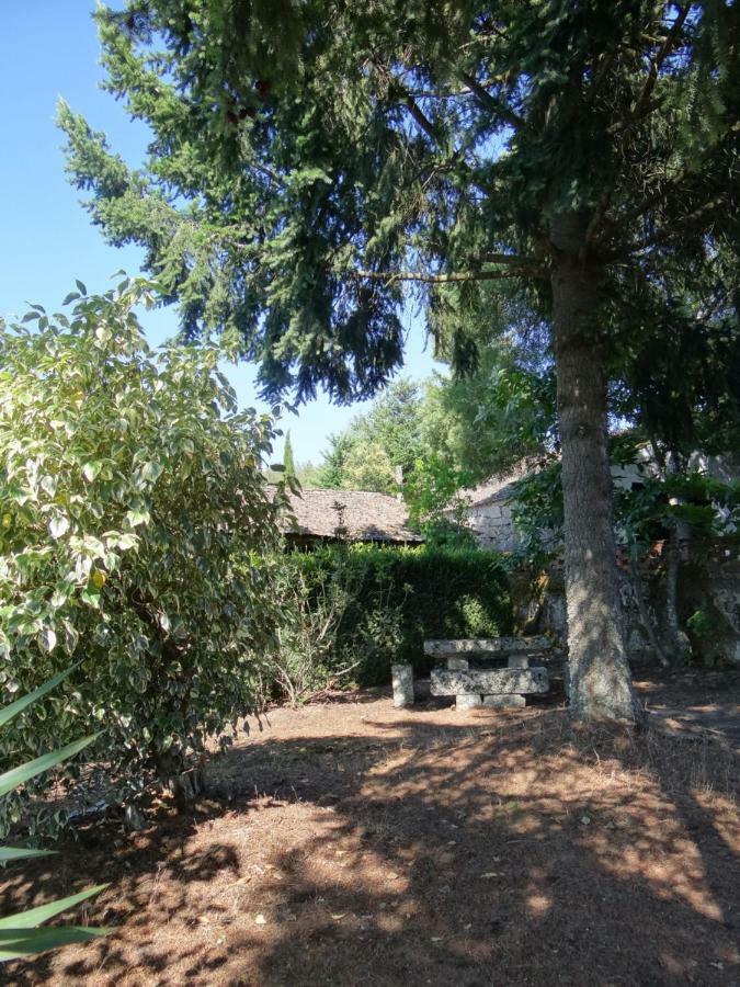 Museu Casa Aleixo ξενώνας Sernancelhe Εξωτερικό φωτογραφία