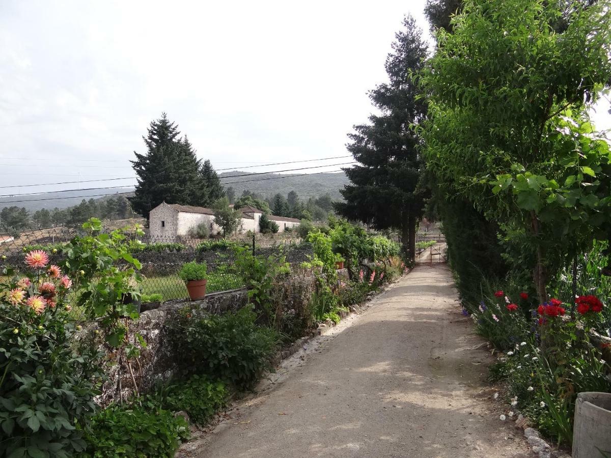 Museu Casa Aleixo ξενώνας Sernancelhe Εξωτερικό φωτογραφία